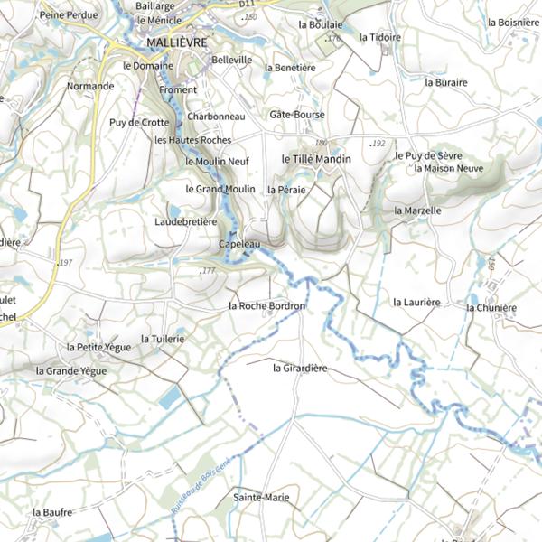 Plan cartographique de La Roche Bordron, la Sèvre Nantaise, Les Epesses