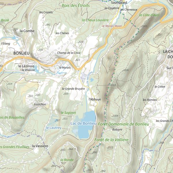 Plan cartographique de Lac de Bonlieu