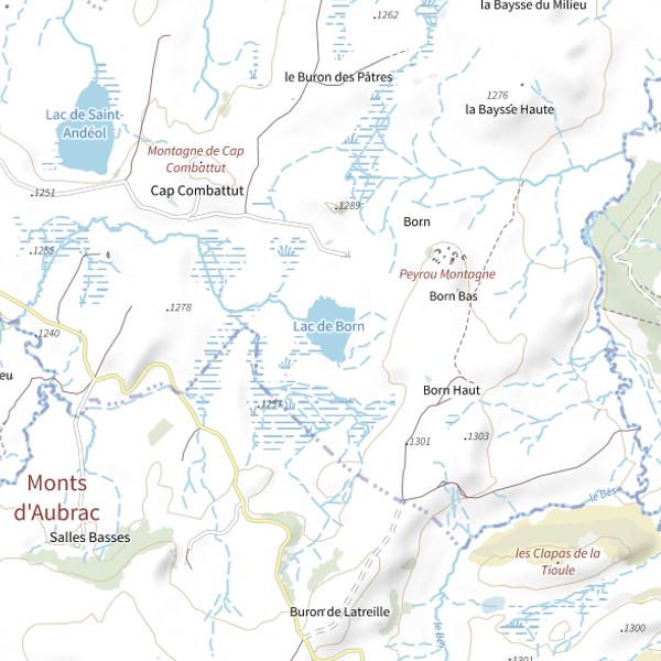Plan cartographique de Lac de Born