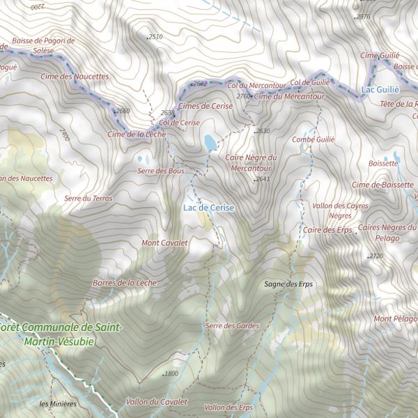 Plan cartographique de Lac de Cerise