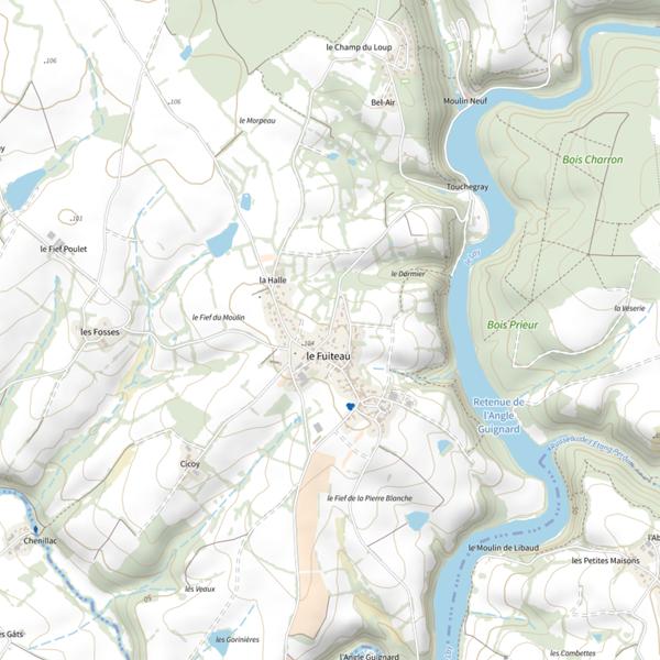 Plan cartographique de Lac de Chantonnay