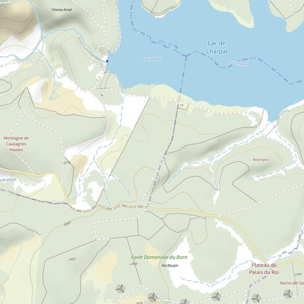Plan cartographique de Lac de Charpal