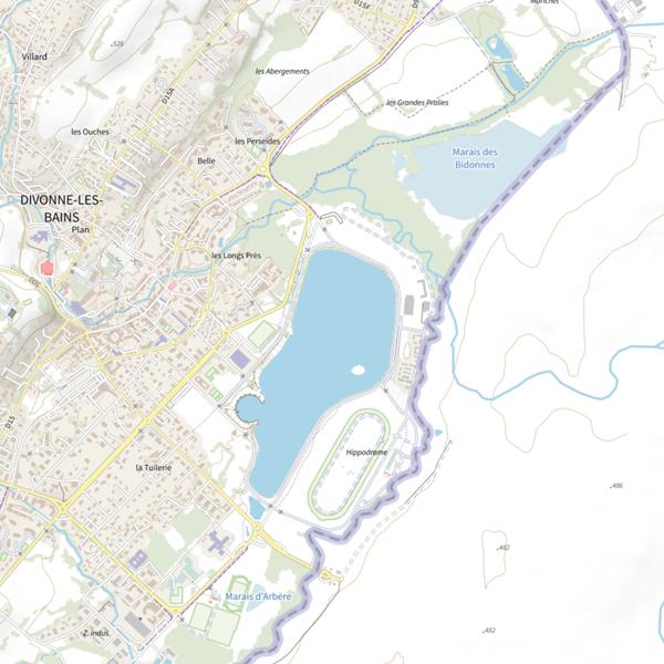 Plan cartographique de Lac de Divonne