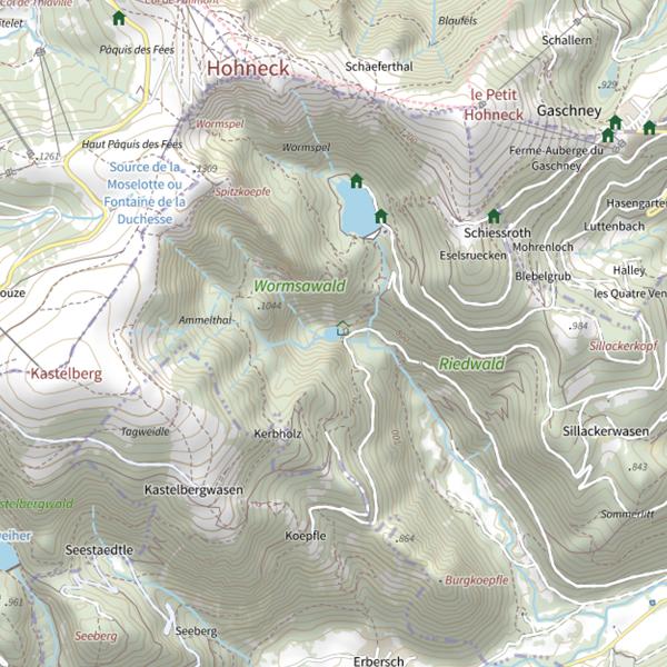 Plan cartographique de Lac de Fischboedle
