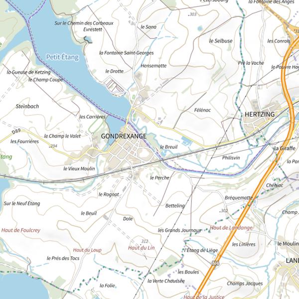Plan cartographique de Lac de Gondrexange