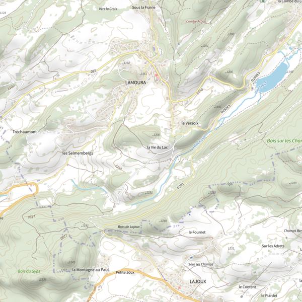 Plan cartographique de Lac de Lamoura
