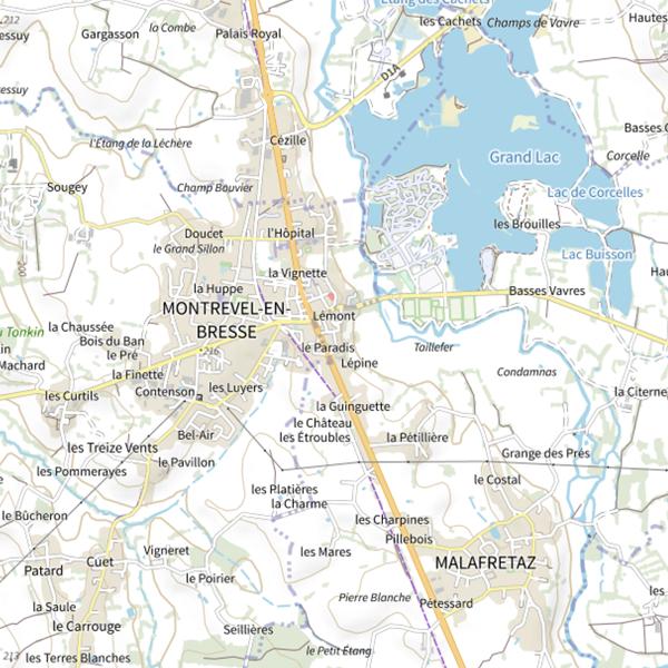 Plan cartographique de Lac de Montrevel