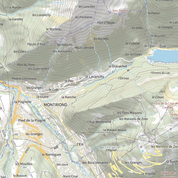 Plan cartographique de Lac de Montriond
