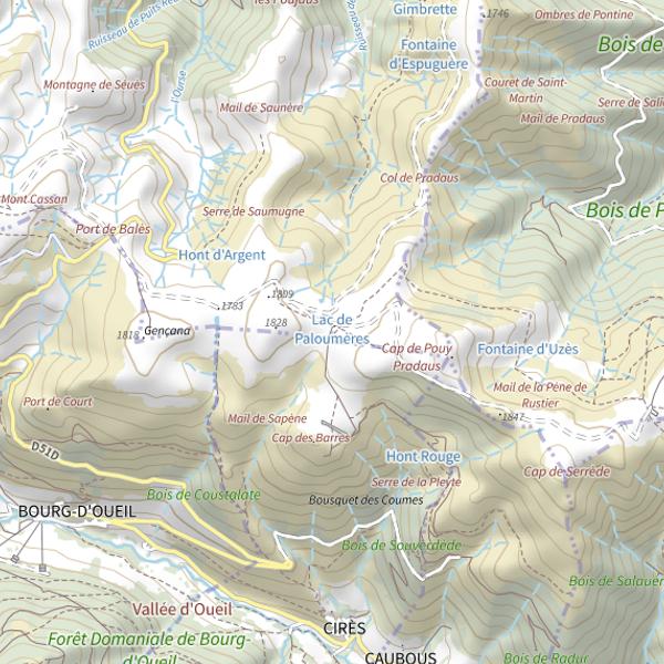 Plan cartographique de Lac de Paloumères