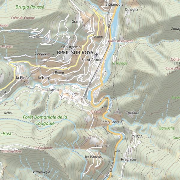 Plan cartographique de Lac des Cygnes