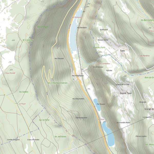 Plan cartographique de Lac des Hopitaux