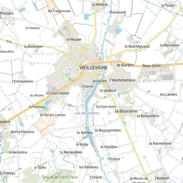 Plan cartographique de Lac des Vallées à Vieillevigne (44) : 9 ha