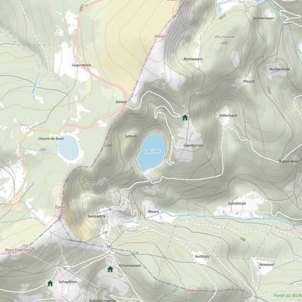 Plan cartographique de Lac Vert (Soultzeren)
