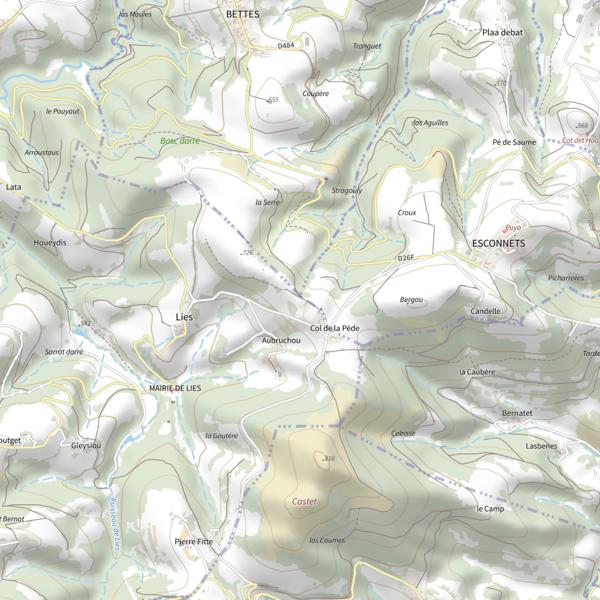 Plan cartographique de Le Bidaudos