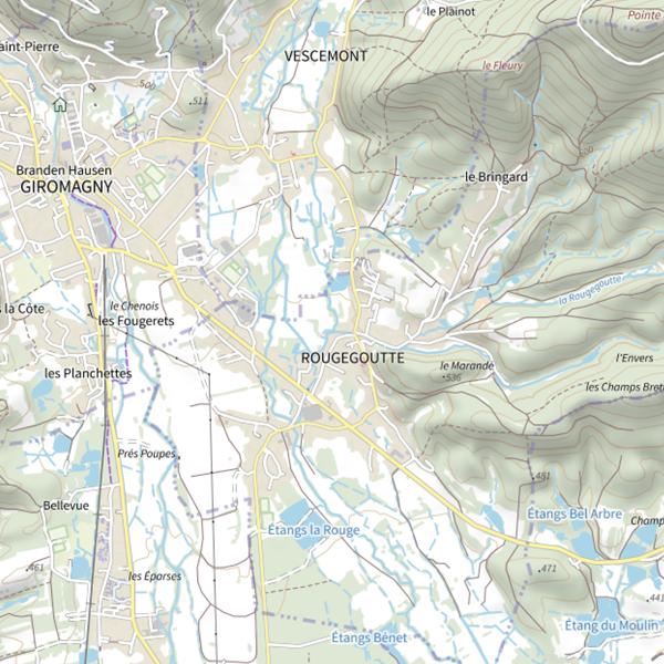 Plan cartographique de Le Bras de Vescemont