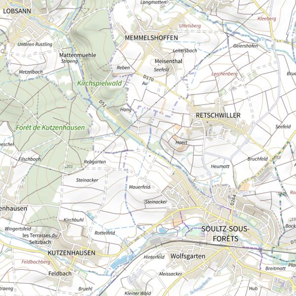 Plan cartographique de Le Froeschwillerbaechel
