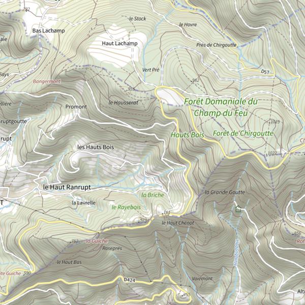 Plan cartographique de Le Haut Bois