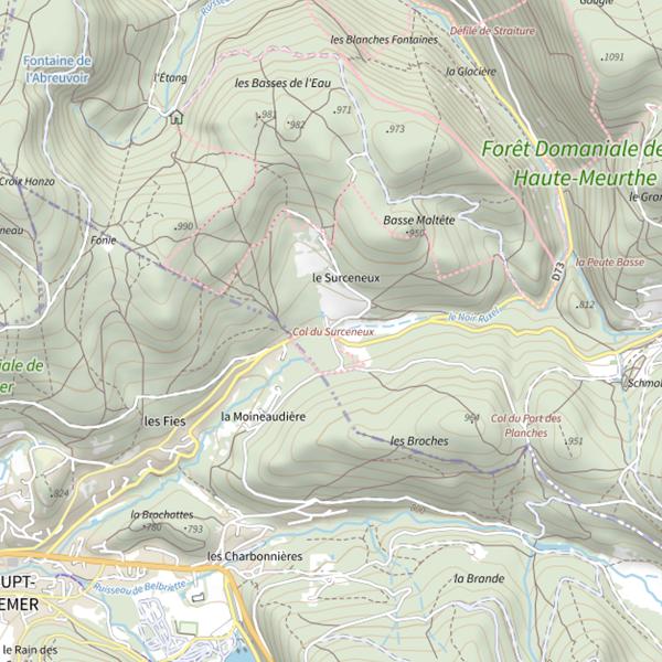 Plan cartographique de Le Noir Ruxel