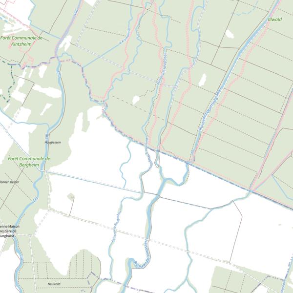Plan cartographique de Le petit Rheinweg ou Rinnweg