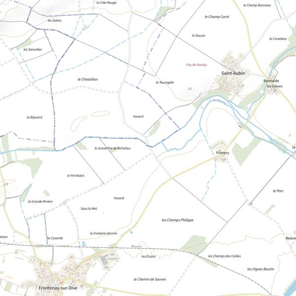 Plan cartographique de Le Prepson (St Jean de Sauves)
