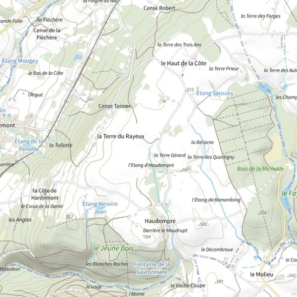 Plan cartographique de Le Recourt