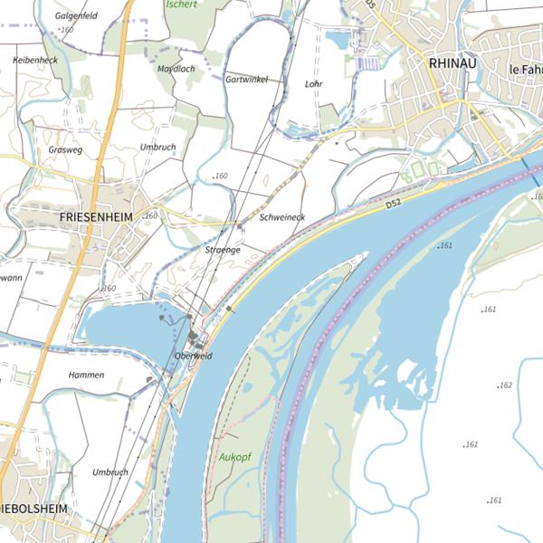 Plan cartographique de Le Rhin à Rhinau