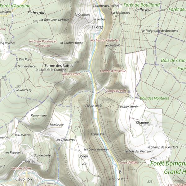 Plan cartographique de Le Rhoin