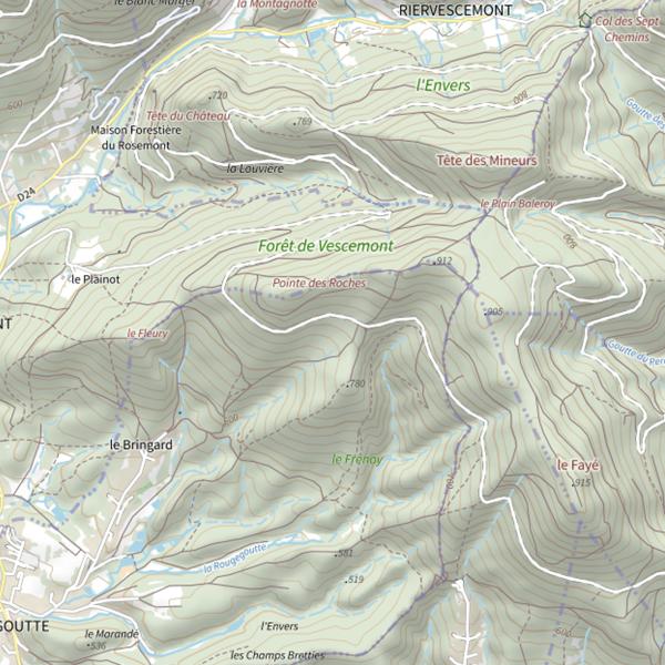 Plan cartographique de Le Ruisseau du Bringard