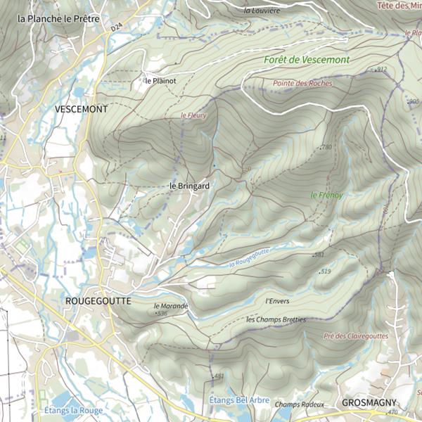 Plan cartographique de Le Ruisseau du fleury