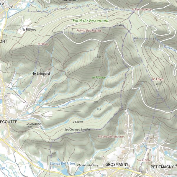 Plan cartographique de Le Ruisseau du Frênoi