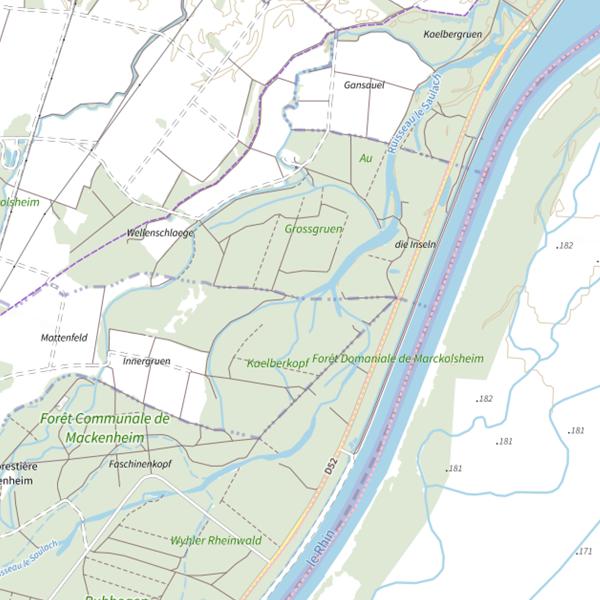 Plan cartographique de Le Steingruengiessen