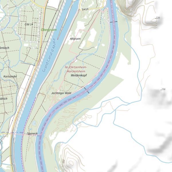 Plan cartographique de Le Vieux-Rhin à Marckolsheim