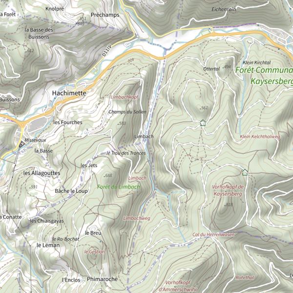 Plan cartographique de Limbach
