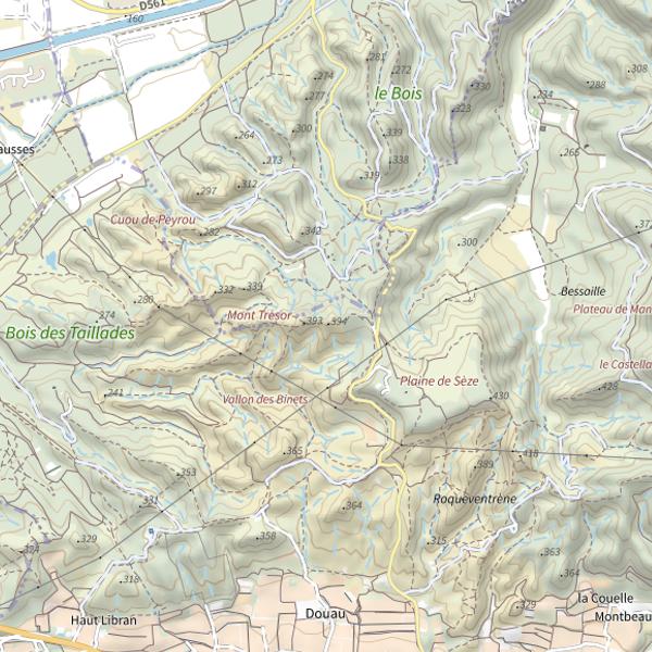 Plan cartographique de Mont Trésor