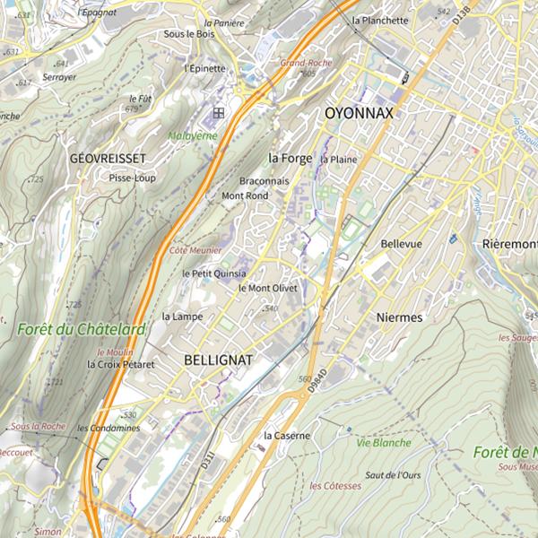 Plan cartographique de No-kill Lange | Oyonnax