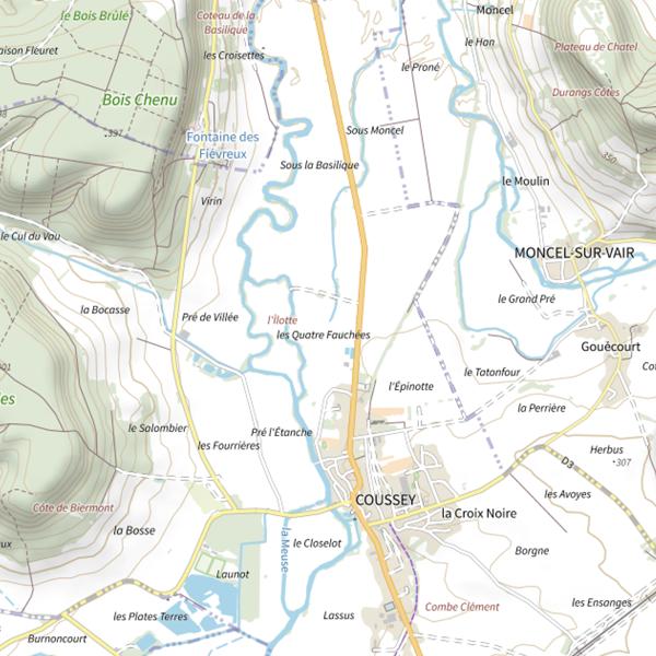 Plan cartographique de Noue du Pont de Pagny