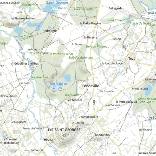 Plan cartographique de Petit Étang de Saul