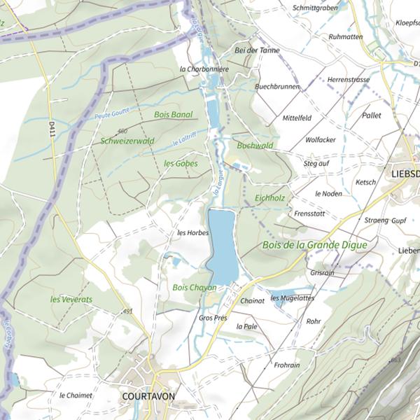 Plan cartographique de Plan d'eau de Courtavon