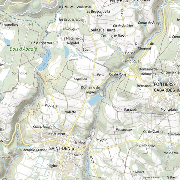 Plan cartographique de Plan d'eau de Fargues