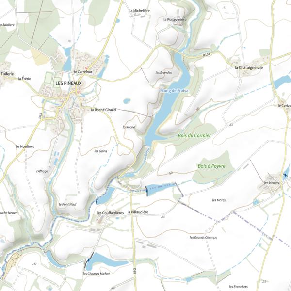 Plan cartographique de Plan d'eau de Fraisa aux Pineaux