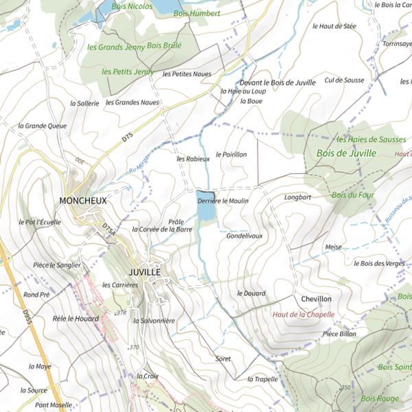Plan cartographique de Plan d'Eau de Juville