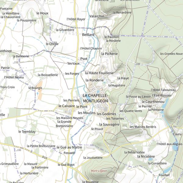 Plan cartographique de Plan d'eau de La Flocellière