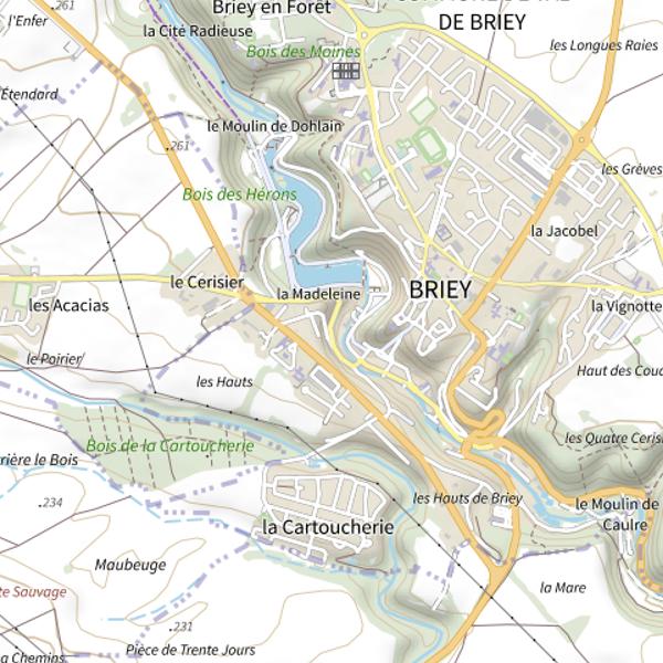 Plan cartographique de Plan d'eau de la Sangsue de Briey