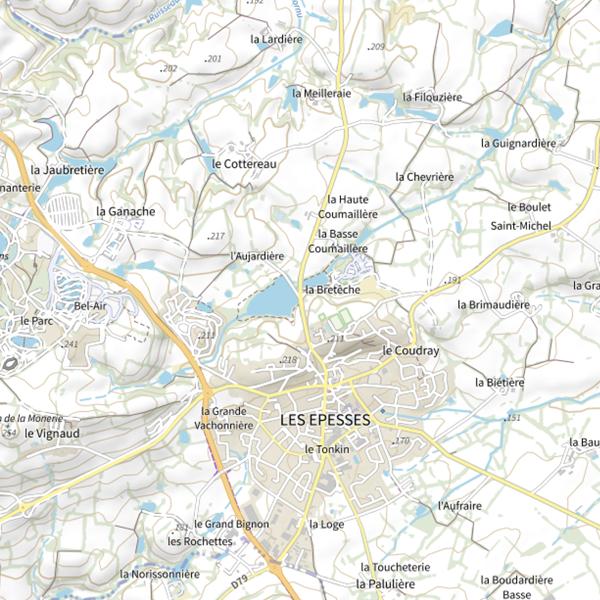 Plan cartographique de Plan d'Eau de l'Aujardière aux Epesses : 5 ha