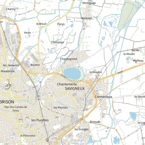 Plan cartographique de Plan d'Eau de Savigneux