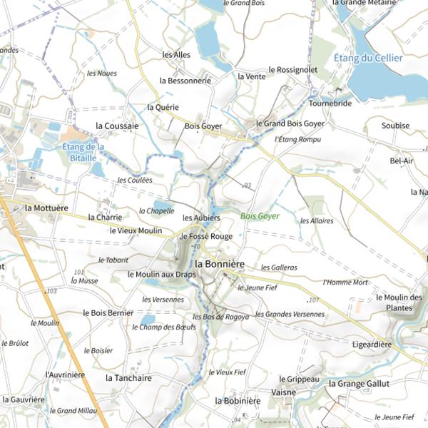Plan cartographique de Plans d'Eau de la Bonniere (Mouchamps)