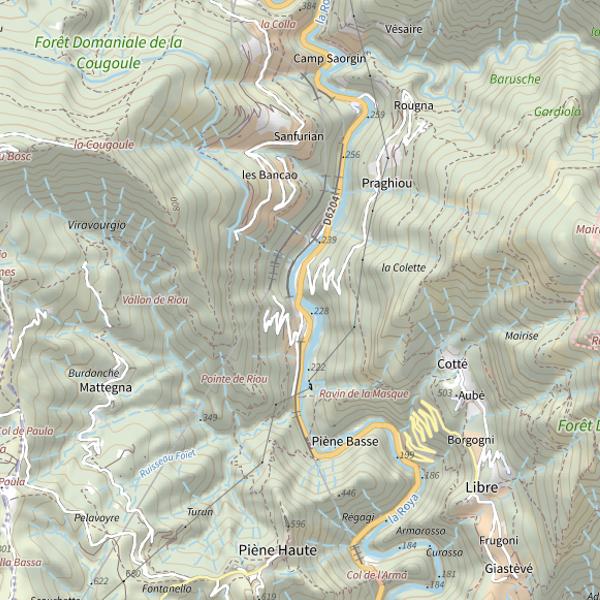 Plan cartographique de Pont de l'Arboustet