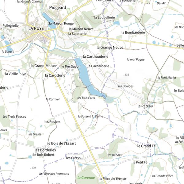 Plan cartographique de Queue de l’étang de la Puye