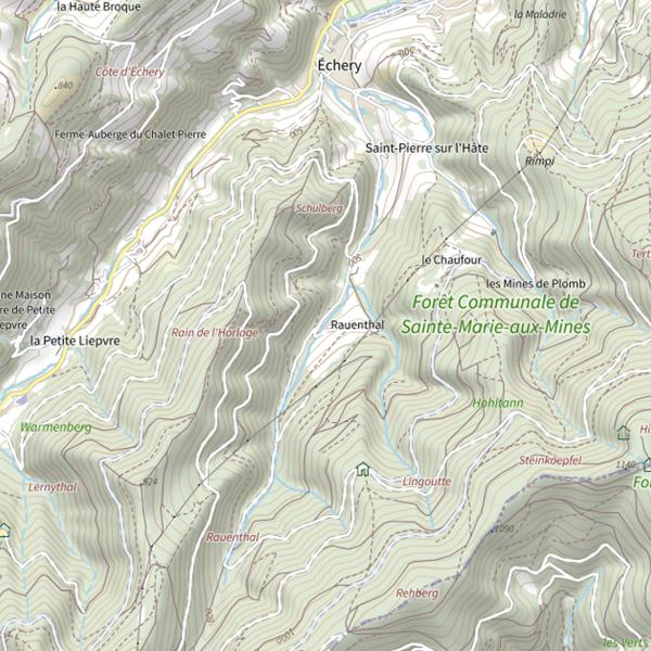 Plan cartographique de Rauenthal