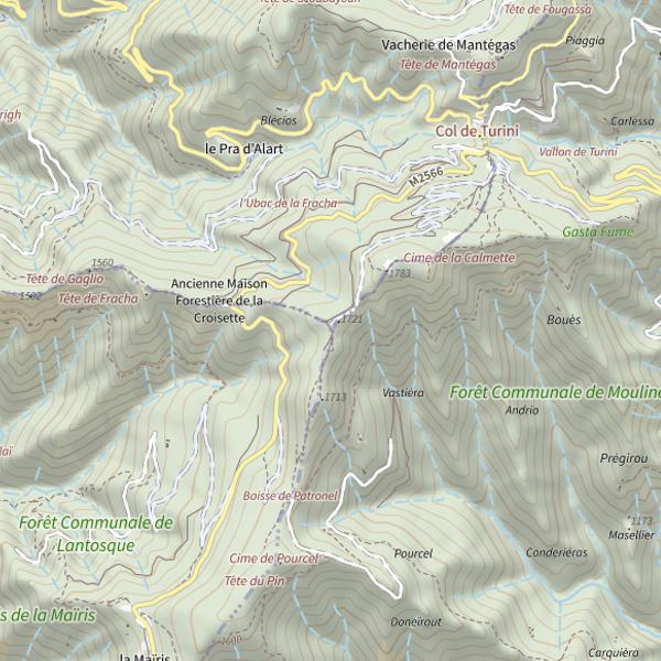 Plan cartographique de Roquebillière